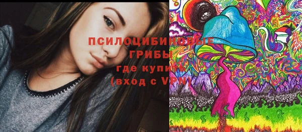 спиды Арсеньев