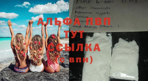 стафф Баксан