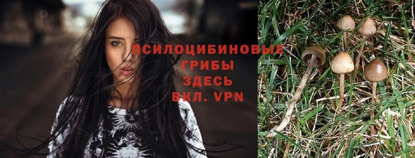 спиды Арсеньев